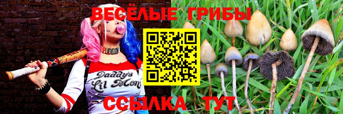 Галлюциногенные грибы прущие грибы  Псилоцибиновые грибы мицелий  Вход с VPN  Киров 