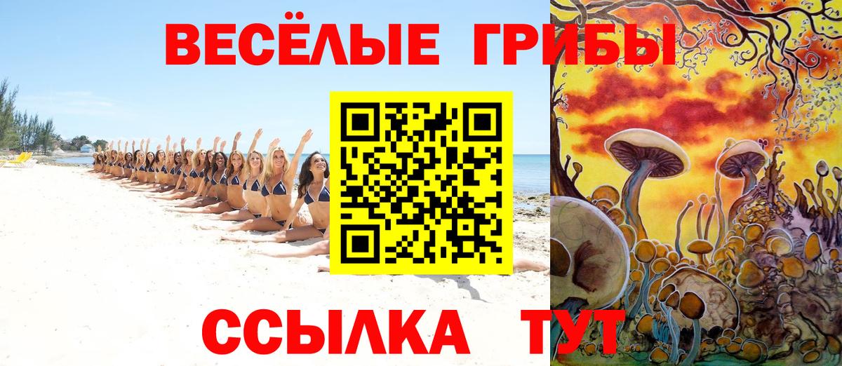 Псилоцибиновые грибы Cubensis Киров